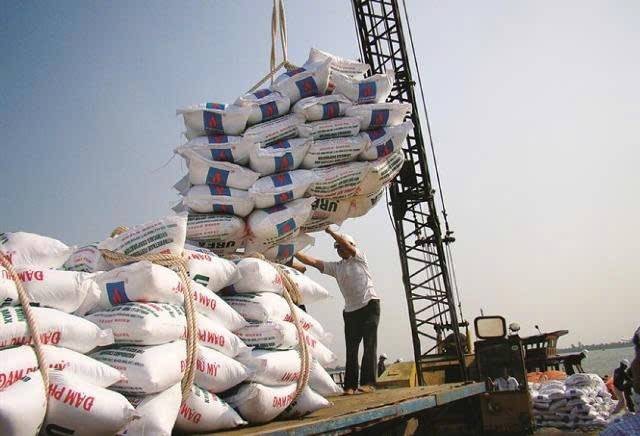 Xuất khẩu phân bón sụt giảm: Doanh nghiệp Việt trước biến động toàn cầu